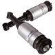 2 X Air Shock Strut For Land Rover Sport Discovery Lr3/ 4 Rnb501250