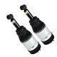 2x Air Spring Shock Absorber Rear Rpd501090 For Land Rover Discovery 3