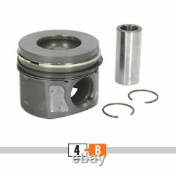 Range Rover Sport (l322, L320, L405, L494, L560) 5.0 508ps Piston Std X 8 Pcs