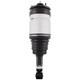 Air Suspension Ressort Strut For Range Rover Sport Discovery Lr3 Lr4 Arrière